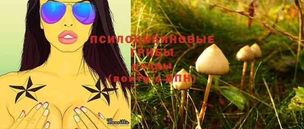 прущий лед Магадан