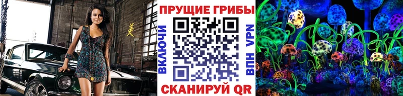 Псилоцибиновые грибы мухоморы  где купить наркоту  Гагарин 