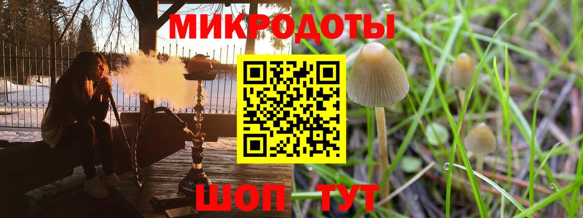 Псилоцибиновые грибы GOLDEN TEACHER  Вход с VPN  Псилоцибиновые грибы Psilocybe  хочу наркоту  Гагарин 