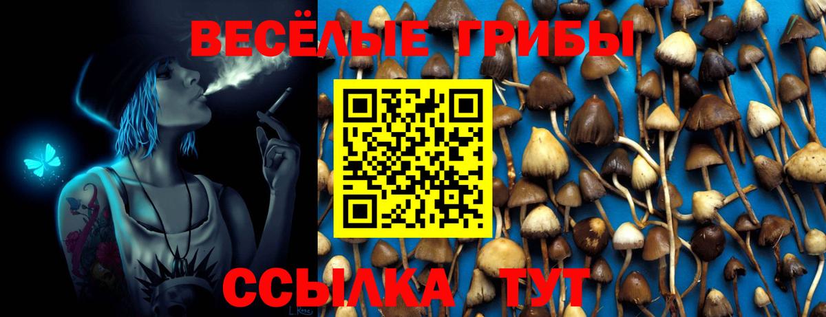 Псилоцибиновые грибы ЛСД  Гагарин 